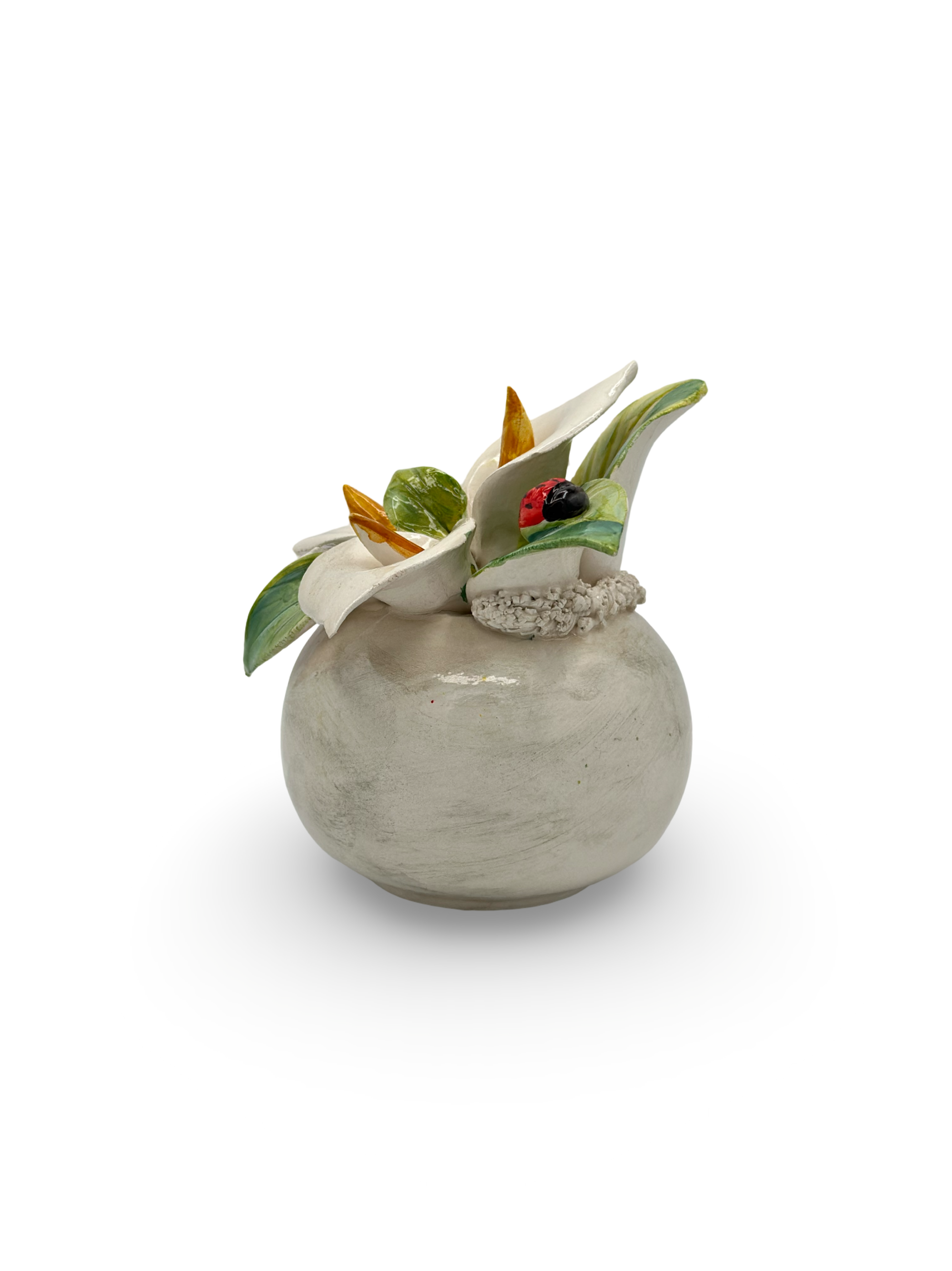 Calla d’Avorio
