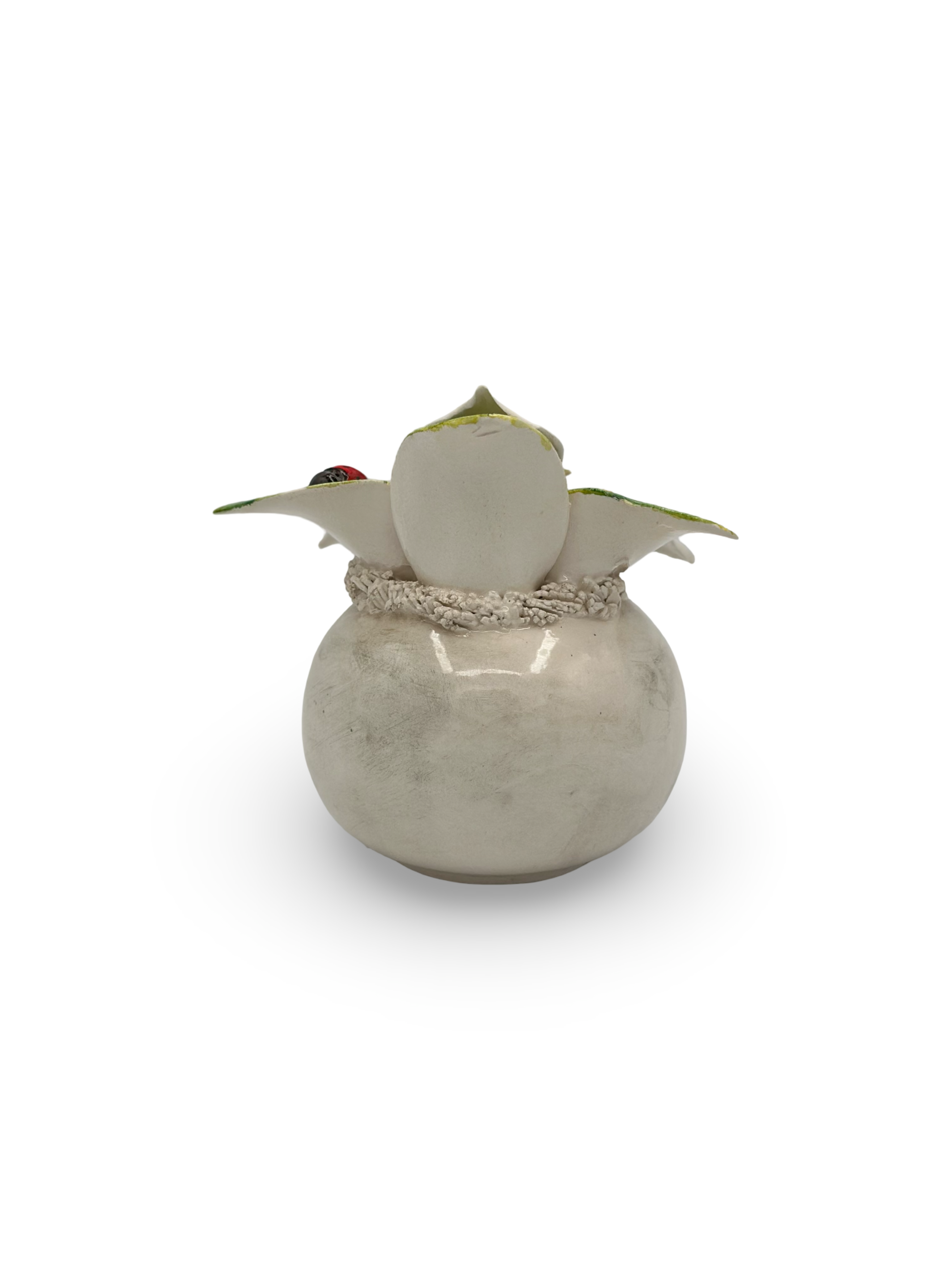 Calla d’Avorio