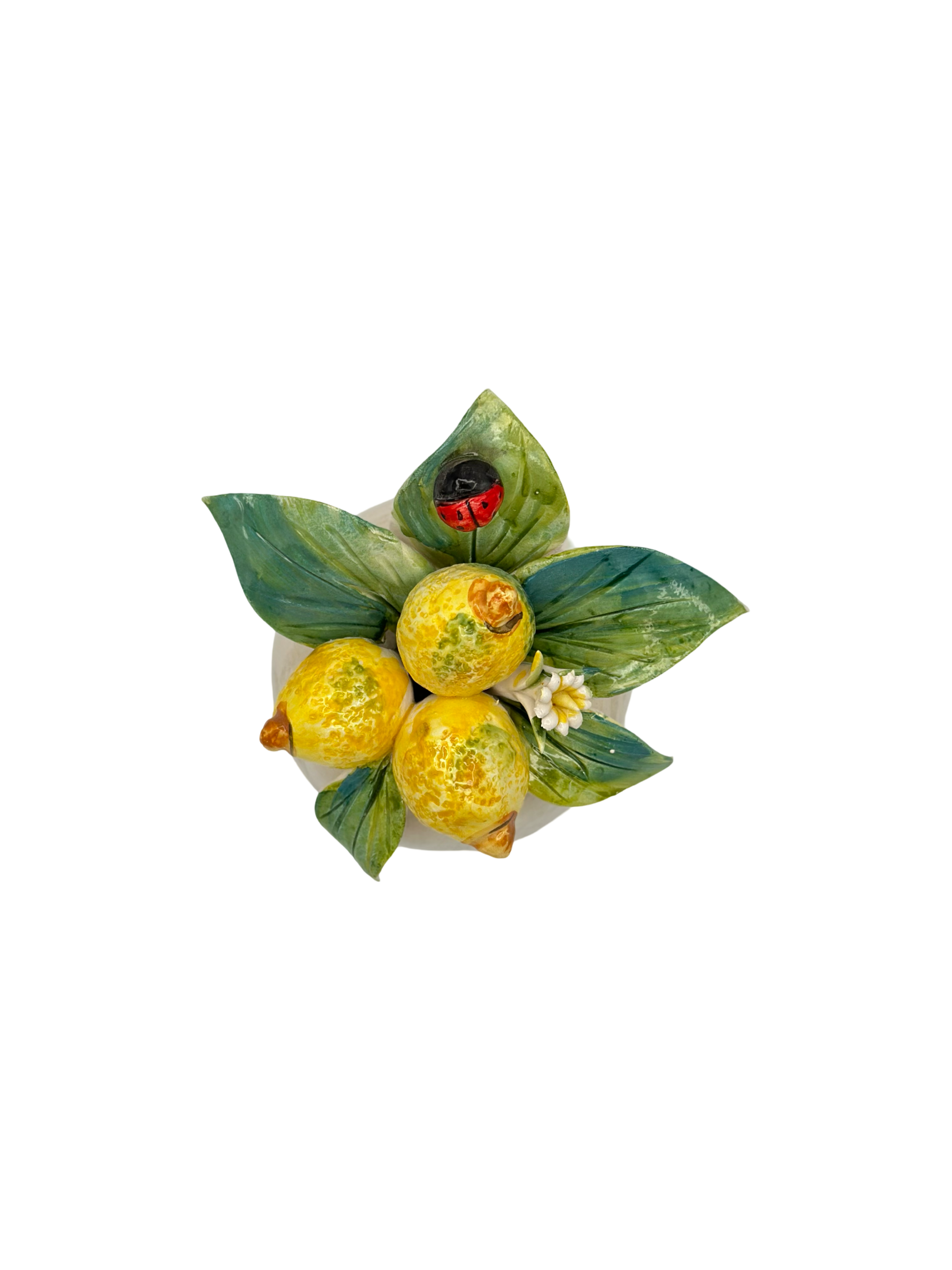 Agrumi di Sicilia