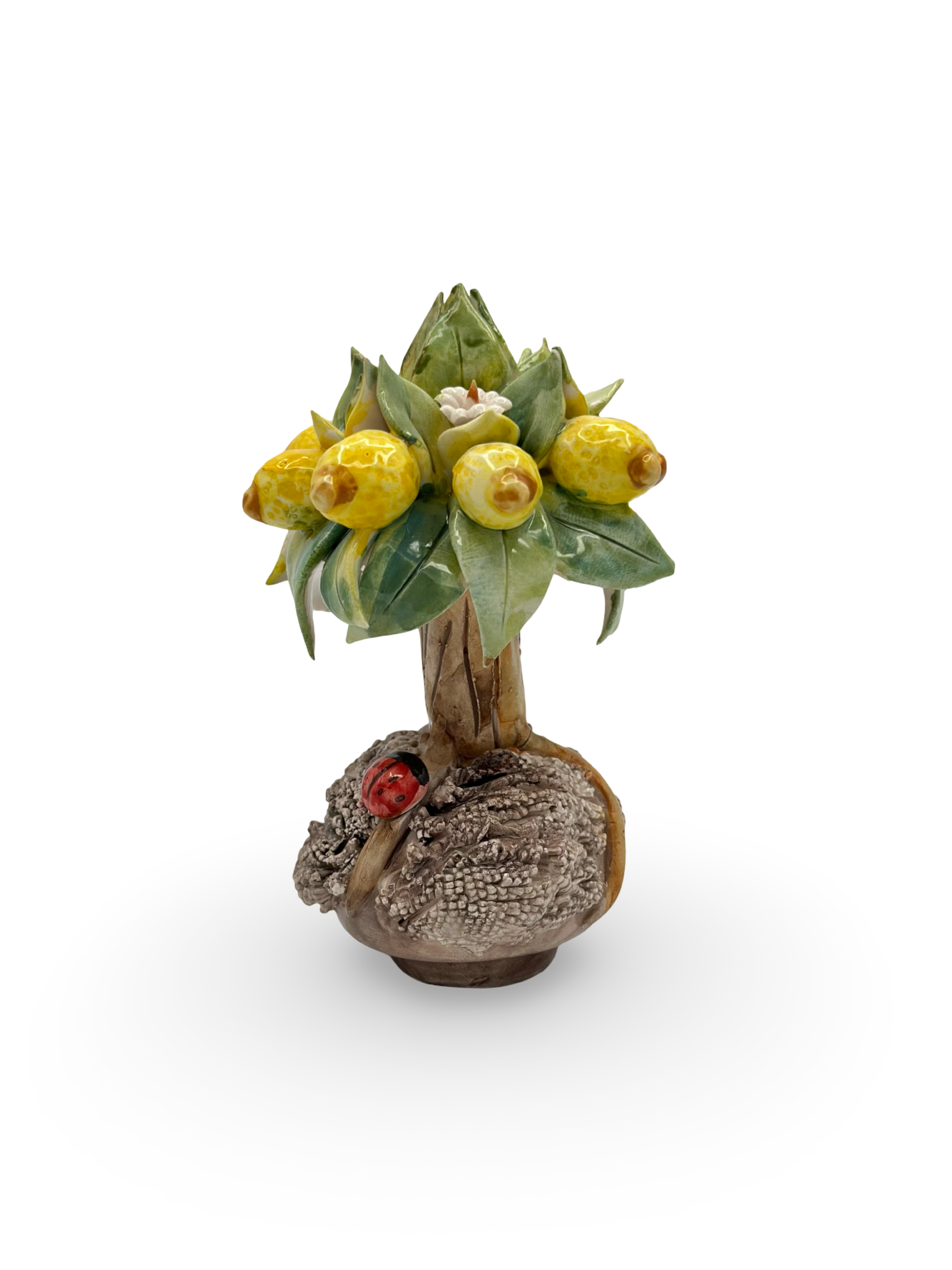 Bonsai di Limoni in Ceramica