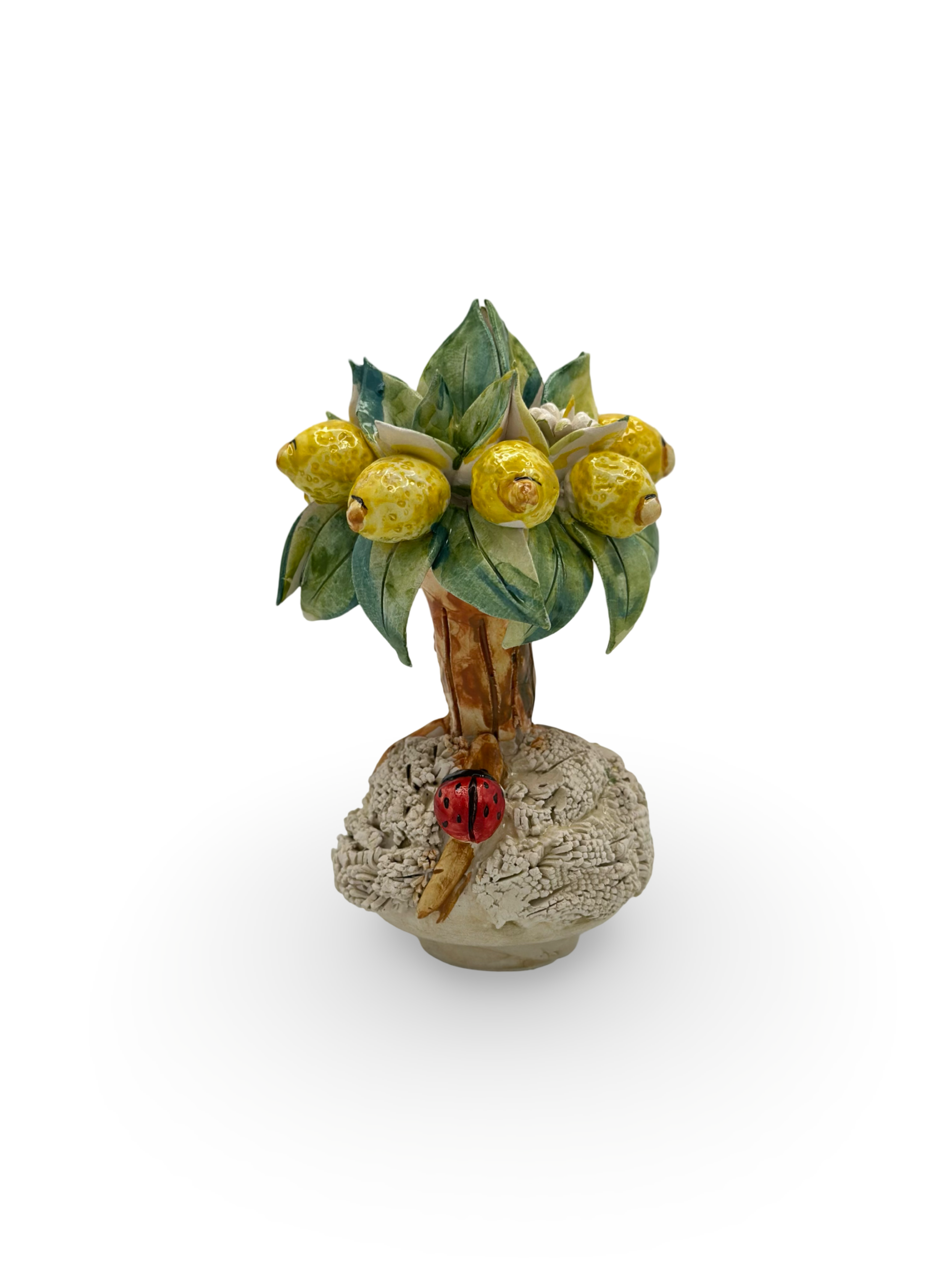 Bonsai di Limoni in Ceramica