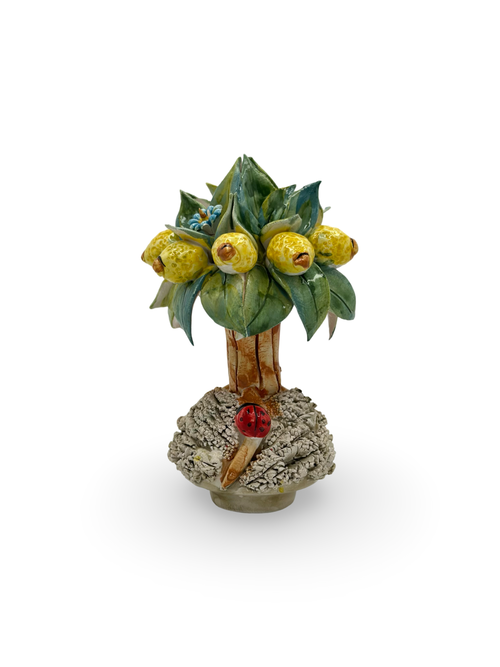 Bonsai di Limoni in Ceramica